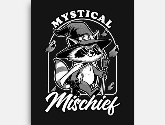 Wizard Magical Raccoon
