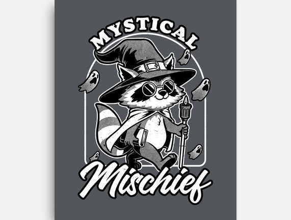 Wizard Magical Raccoon