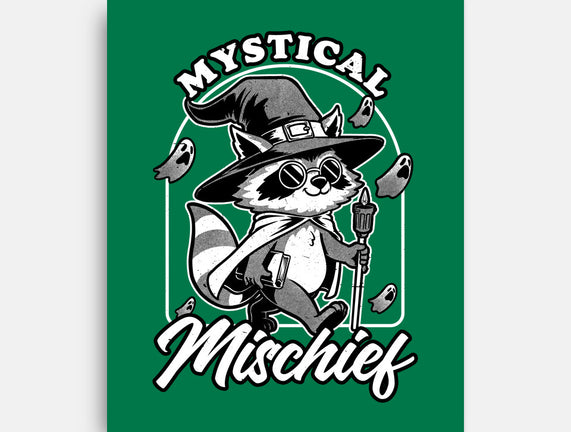 Wizard Magical Raccoon
