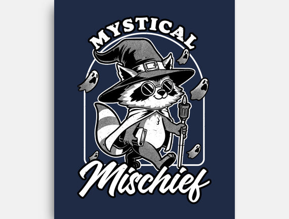 Wizard Magical Raccoon