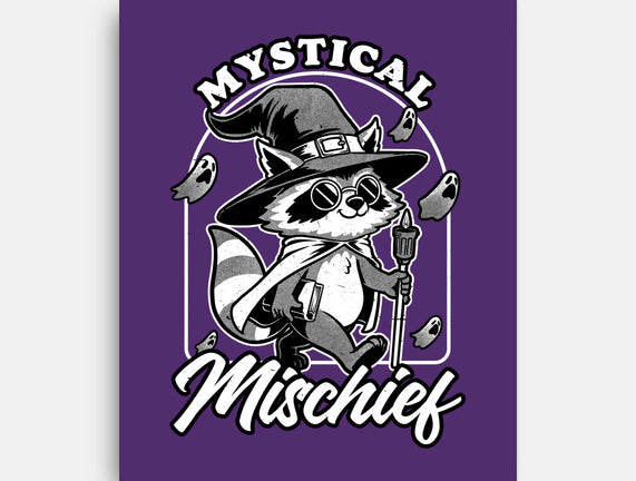 Wizard Magical Raccoon