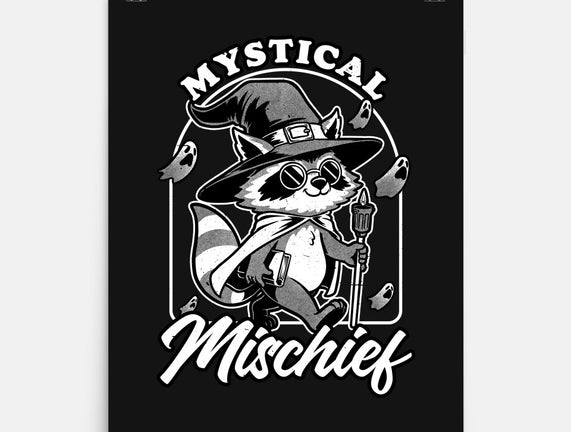 Wizard Magical Raccoon