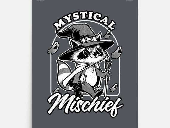 Wizard Magical Raccoon