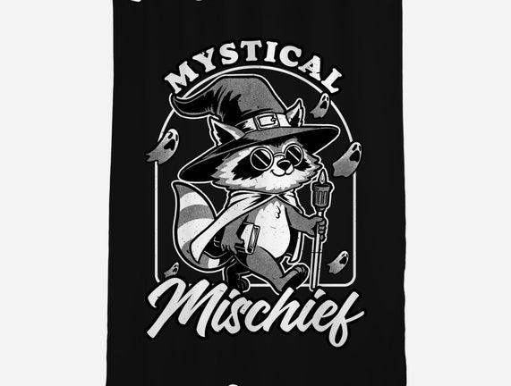 Wizard Magical Raccoon