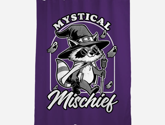 Wizard Magical Raccoon