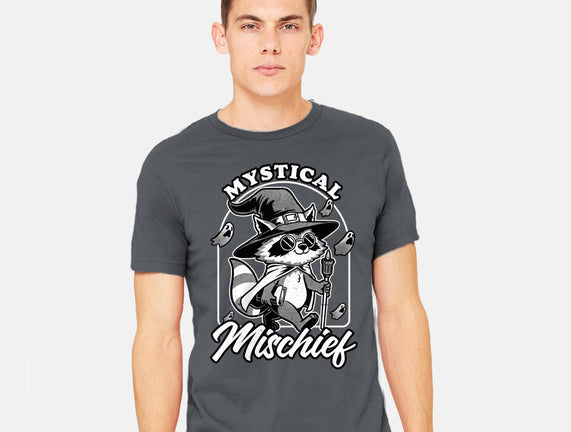 Wizard Magical Raccoon