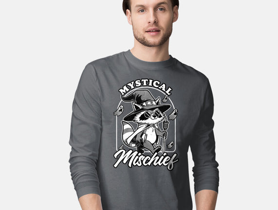 Wizard Magical Raccoon