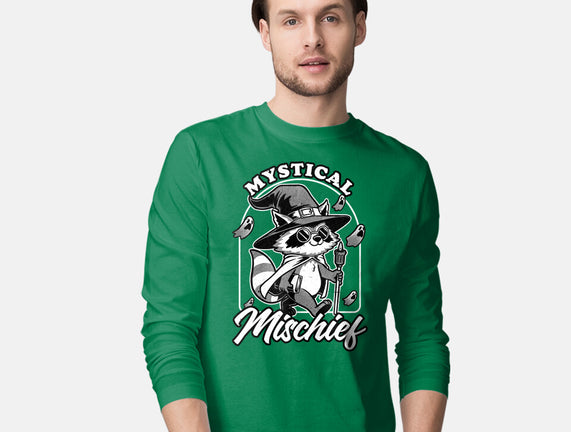 Wizard Magical Raccoon