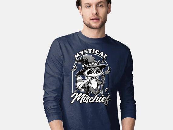 Wizard Magical Raccoon