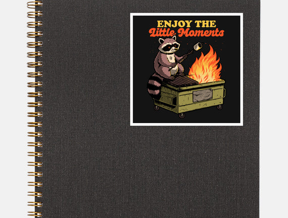 Raccoon Dumpster Fire