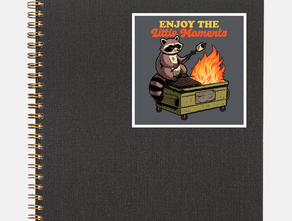 Raccoon Dumpster Fire