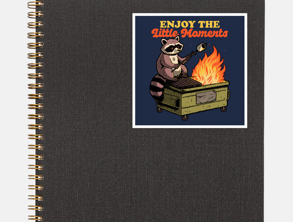 Raccoon Dumpster Fire