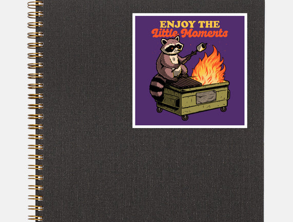 Raccoon Dumpster Fire