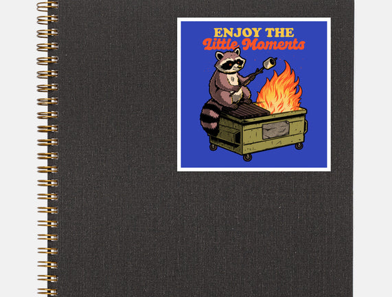 Raccoon Dumpster Fire