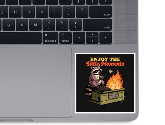Raccoon Dumpster Fire