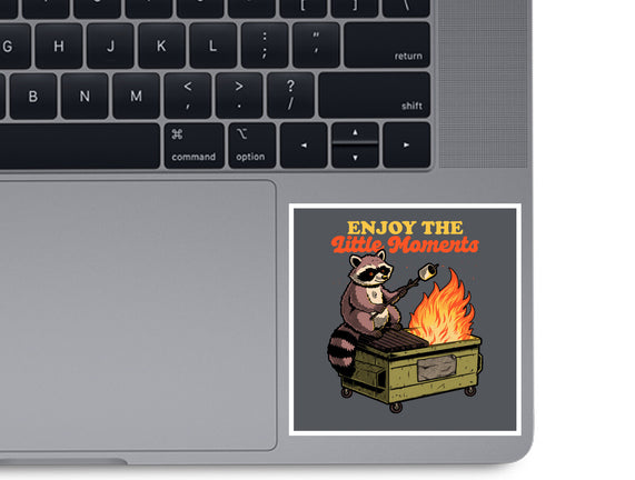 Raccoon Dumpster Fire