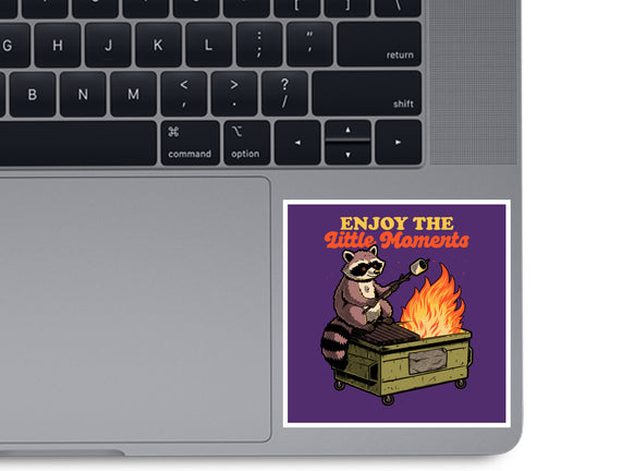 Raccoon Dumpster Fire