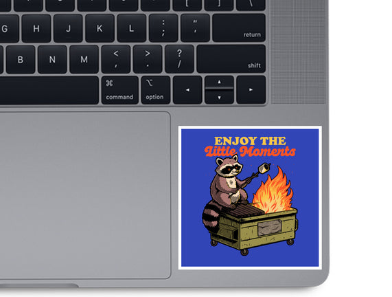 Raccoon Dumpster Fire