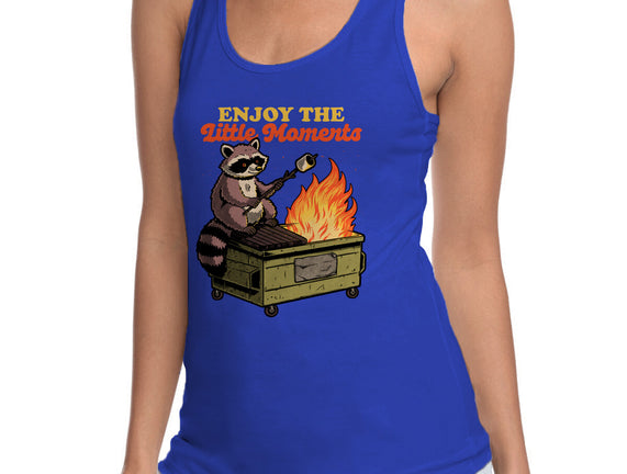 Raccoon Dumpster Fire