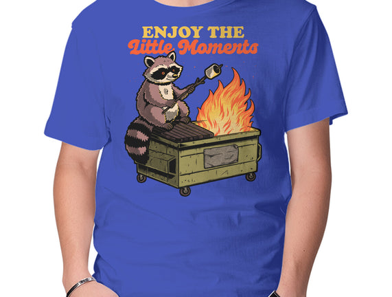 Raccoon Dumpster Fire