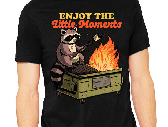 Raccoon Dumpster Fire