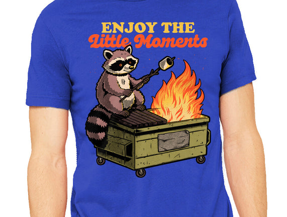 Raccoon Dumpster Fire