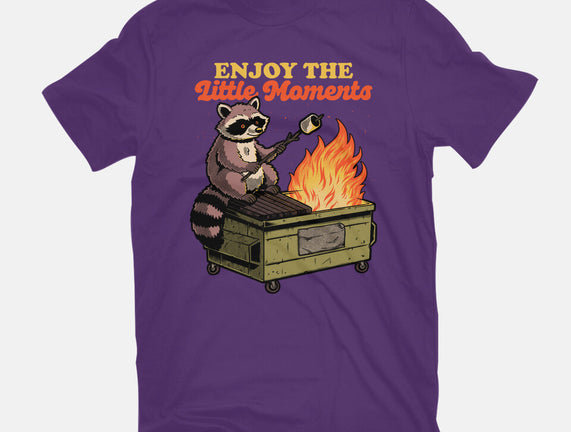 Raccoon Dumpster Fire