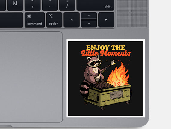 Raccoon Dumpster Fire