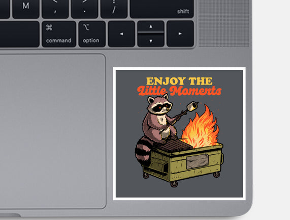 Raccoon Dumpster Fire
