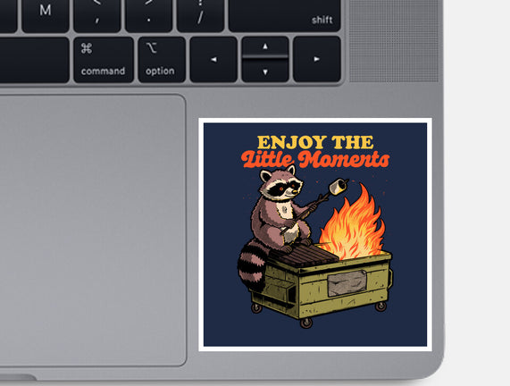 Raccoon Dumpster Fire
