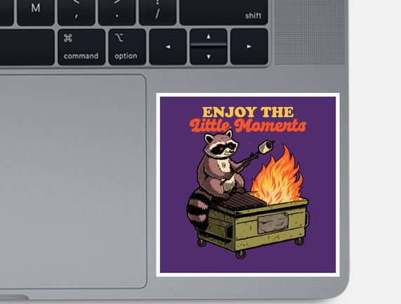 Raccoon Dumpster Fire