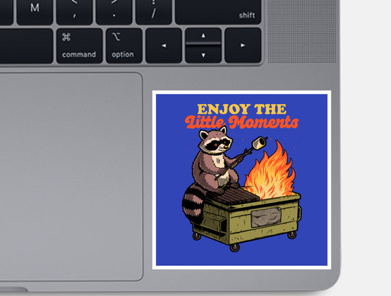Raccoon Dumpster Fire
