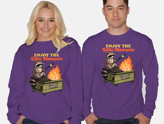 Raccoon Dumpster Fire