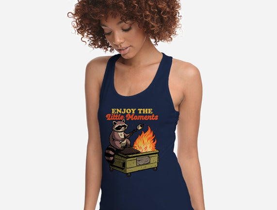 Raccoon Dumpster Fire