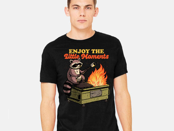 Raccoon Dumpster Fire