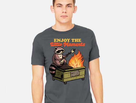 Raccoon Dumpster Fire