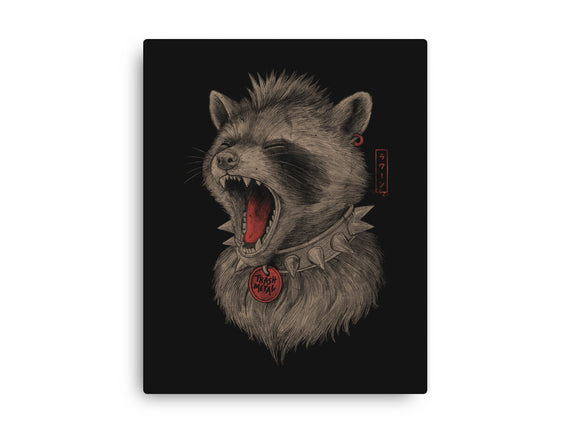 Metal Raccoon