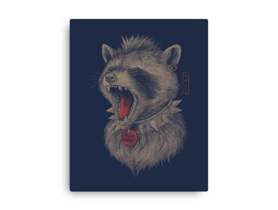 Metal Raccoon