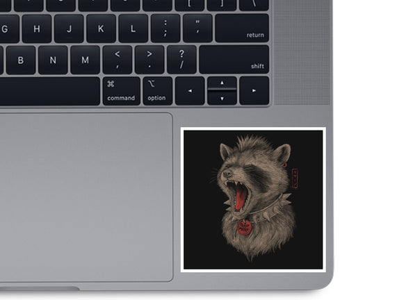 Metal Raccoon