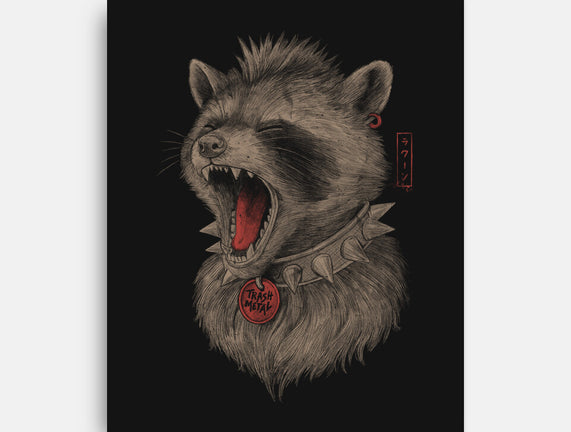 Metal Raccoon