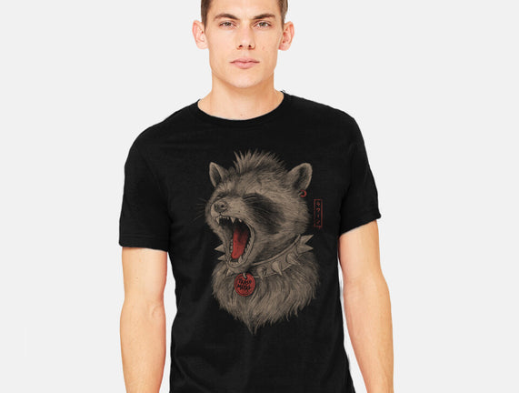 Metal Raccoon
