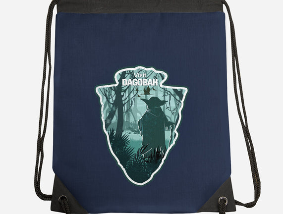 Visit Dagobah