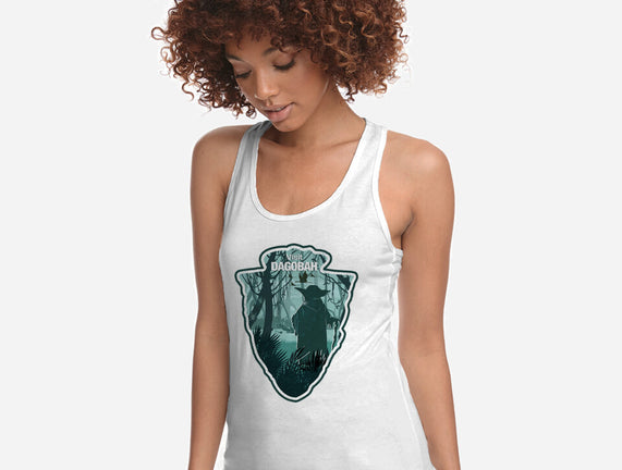 Visit Dagobah