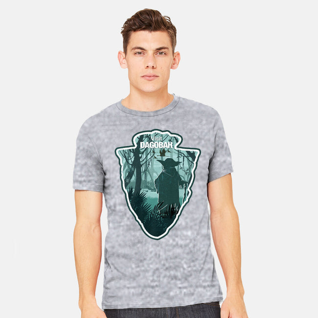 Visit Dagobah-Mens-Heavyweight-Tee-palmstreet