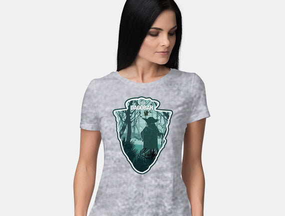 Visit Dagobah