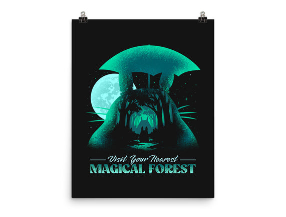 Visit Your Nearest Magical Forest