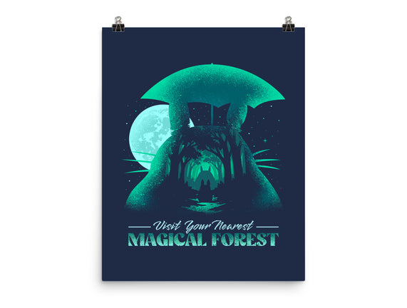 Visit Your Nearest Magical Forest