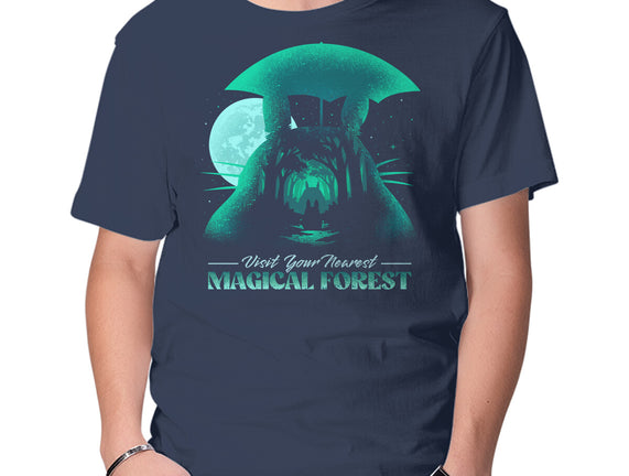 Visit Your Nearest Magical Forest