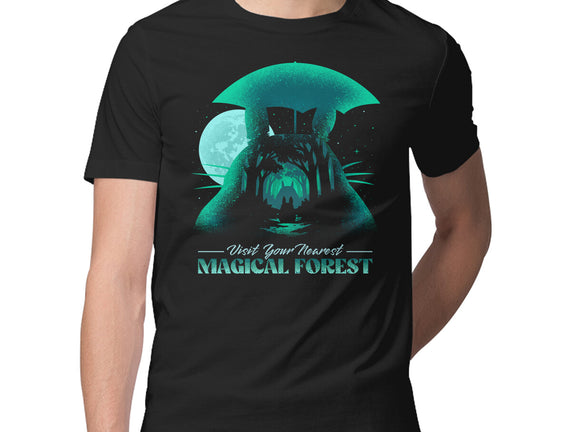 Visit Your Nearest Magical Forest
