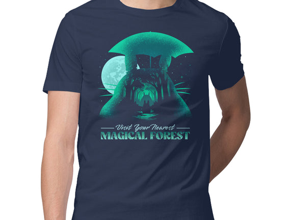 Visit Your Nearest Magical Forest